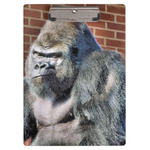 FUNNY GORILLA CLIPBOARD