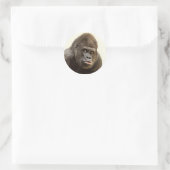 Funny Gorilla stickers (Bag)