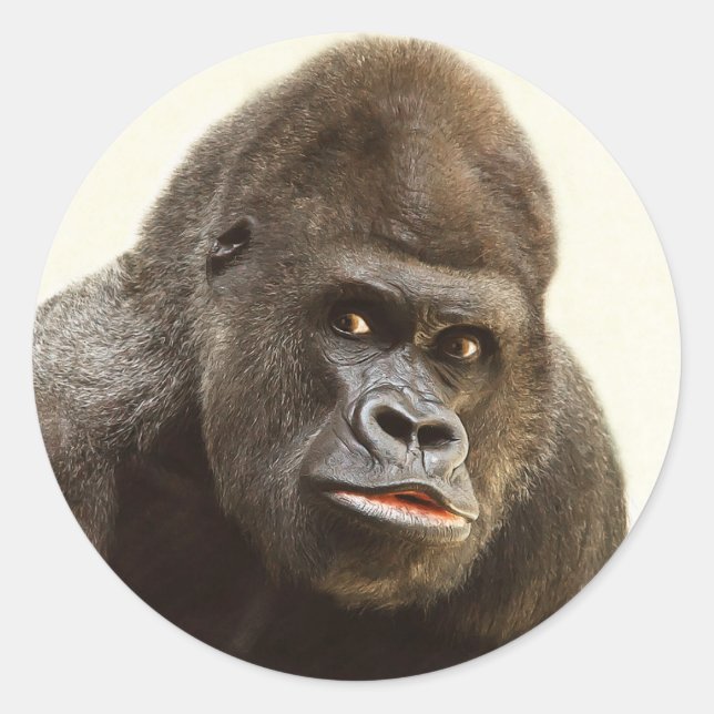 Funny Gorilla stickers (Front)