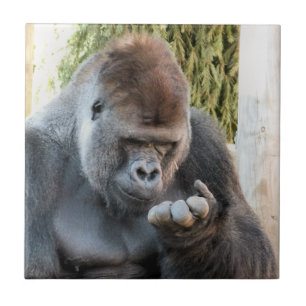 FUNNY GORILLA TILE