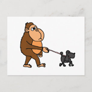 Funny Gorilla Walking Black Poodle Dog Postcard