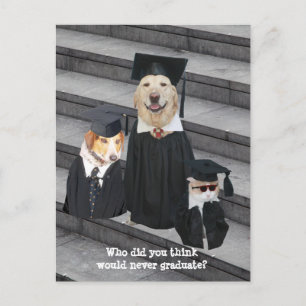 Funny Graduation Customisable Announcement Postcar