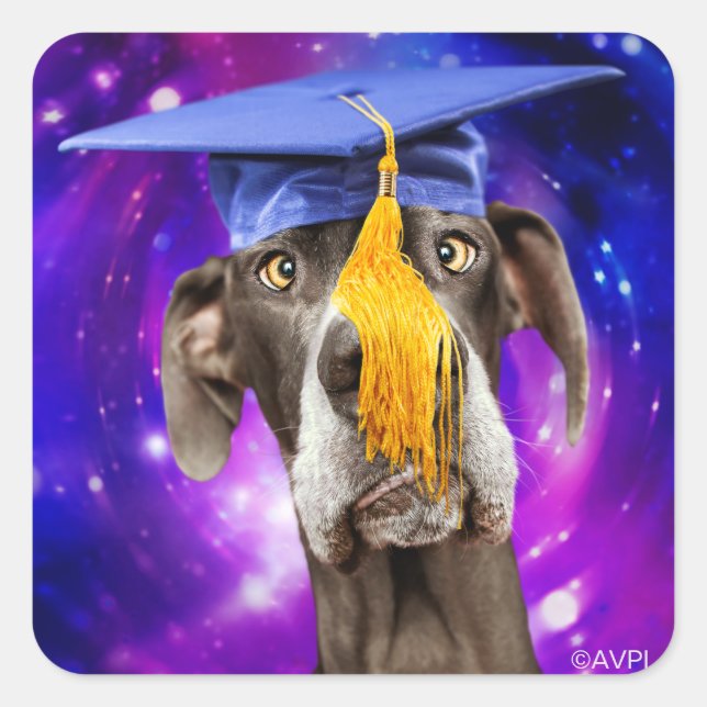 Funny Graduation Dog Wearing Hat Square Sticker (Front)