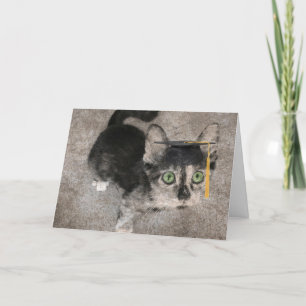 Funny Graduation, Wide Eyed Kitten Card