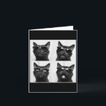 Funny Graphic Cat Photobooth Selfie Funny _5 Card<br><div class="desc">Funny Graphic Cat Photobooth Selfie Funny _5</div>