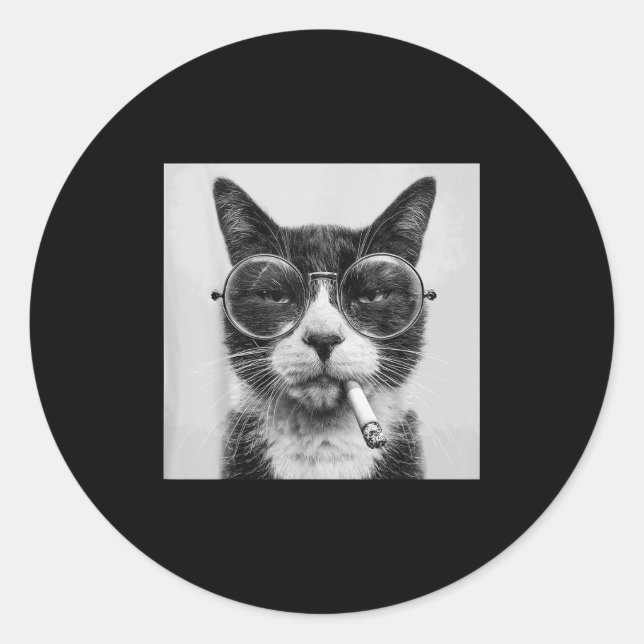 Funny Graphic Cat Smoking Adult Funny _1  Classic Round Sticker (Front)