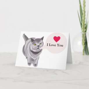 Funny gray fat cat Valentine’s  Card