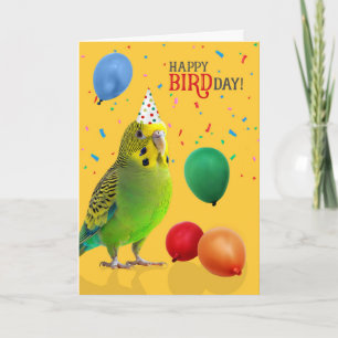 Funny Green and Yellow Budgie Parakeet Birthday Card