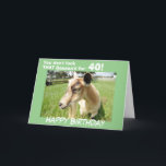 Funny Green Goat Humour Custom Birthday Card<br><div class="desc">Cute goat in a lush green pasture looks out from the card at you and sends her funny birthday humour "You don't look that baaaaa'd for "Your Birthdate Year"! Inside of card says "Just Kidding... .You look fabulous and I hope you have the best Birthday ever!" or customise with your...</div>