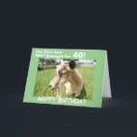 Funny Green Goat Humour Custom Birthday Card<br><div class="desc">Cute goat in a lush green pasture looks out from the card at you and sends her funny birthday humour "You don't look that baaaaa'd for "Your Birthdate Year"! Inside of card says "Just Kidding... .You look fabulous and I hope you have the best Birthday ever!" or customise with your...</div>