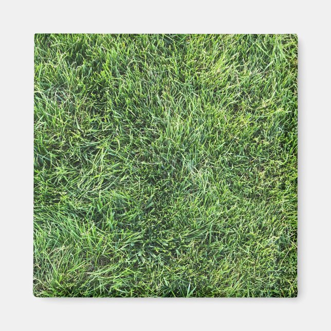 Funny green grass real photo texture pattern fun magnet (Front)