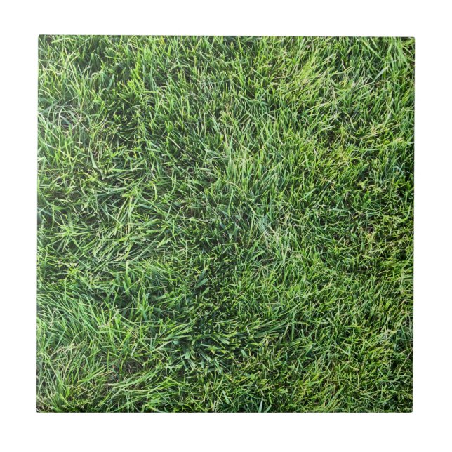 Funny green grass real photo texture pattern fun tile (Front)