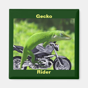 Funny Green Hawaiian Gecko Rider Magnet