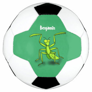 Funny green praying mantis cartoon illustration football