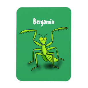 Funny green praying mantis cartoon illustration magnet