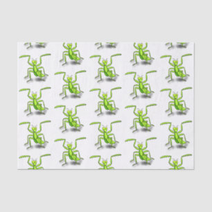 Funny green praying mantis cartoon illustration tissue paper