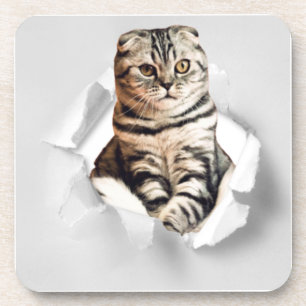 Funny Grey Cat Popping thru Torn Paper Illusion Coaster