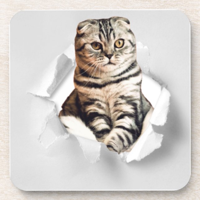 Funny Grey Cat Popping thru Torn Paper Illusion Coaster (Front)