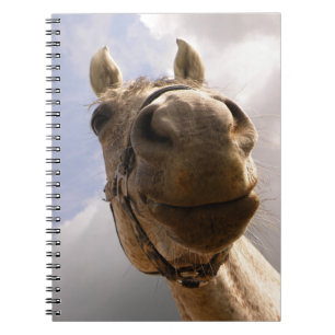 Funny Grey Horse Nose Close Up Notebook
