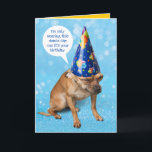 Funny Grimacing Chihuahua Birthday Dunce Cap Card<br><div class="desc">This grimacing Chihuahua is not too thrilled about wearing a dunce cap (or a pointy party hat). He says he's only wearing this dunce cap cuz it's your birthday. He thinks humans have strange customs, but hey, whatever turns us on. He's here for the treats. Sounds like something a cat...</div>