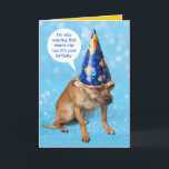 Funny Grimacing Chihuahua Birthday Dunce Cap Card<br><div class="desc">This grimacing Chihuahua is not too thrilled about wearing a dunce cap (or a pointy party hat). He says he's only wearing this dunce cap cuz it's your birthday. He thinks humans have strange customs, but hey, whatever turns us on. He's here for the treats. Sounds like something a cat...</div>