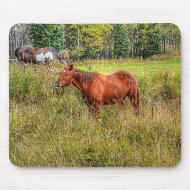 Funny Grinning Chestnut Mare & Pasture Photo Mouse Mat (Front)