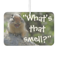 Funny Ground Squirrel Whats That Smell