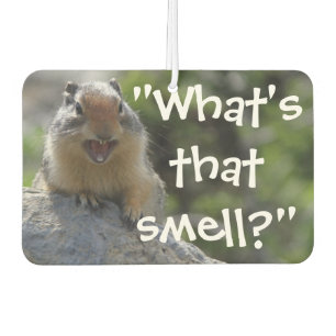 Funny Ground Squirrel Whats That Smell Car Air Freshener