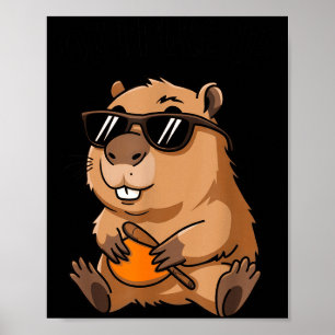 Funny Groundhog Ok I Pull Up Sungles  Poster