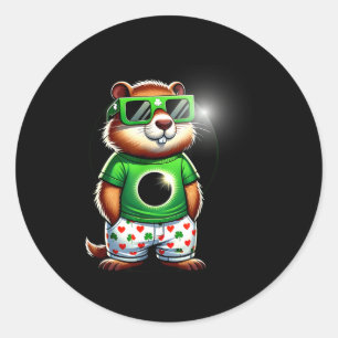 Funny Groundhog St, Patricks Day Solar Valentines  Classic Round Sticker