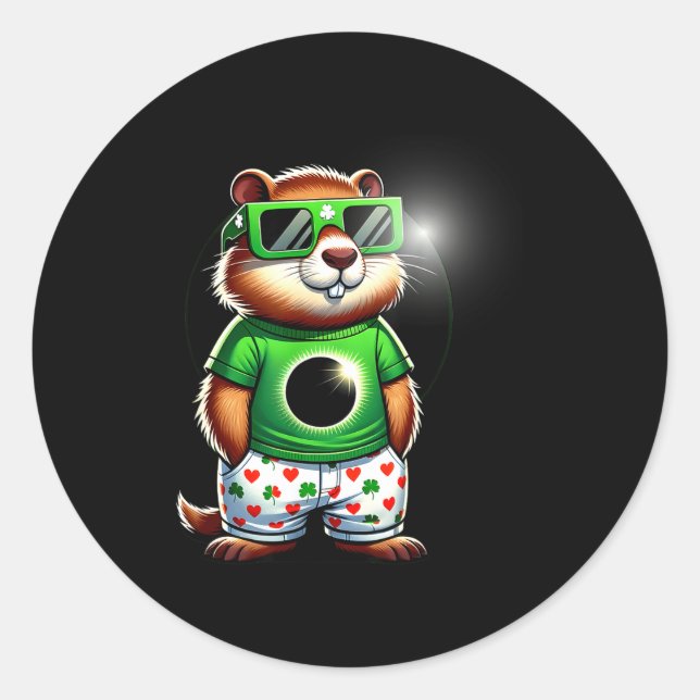 Funny Groundhog St, Patricks Day Solar Valentines  Classic Round Sticker (Front)