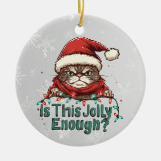 Funny Grumpy Cat Christmas 2-Sided Ornament