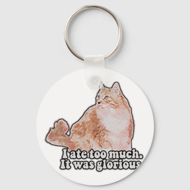 Funny grumpy cat meme for cat and kitty lovers key ring (Front)