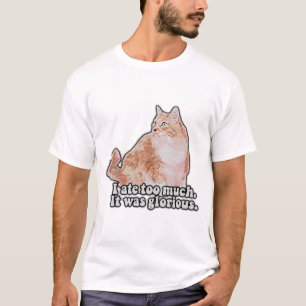 Funny grumpy cat meme for cat and kitty lovers T-Shirt