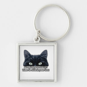 Funny grumpy cat meme for kitten owners &cat lover key ring