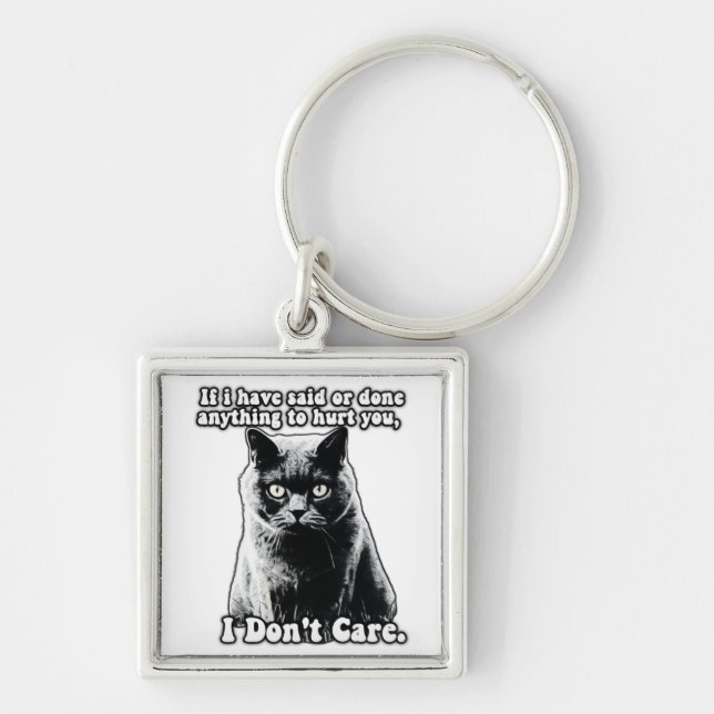 Funny grumpy cat meme for kitten persons & owners key ring (Front)