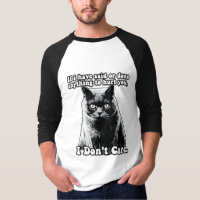 Funny grumpy cat meme for kitten persons & owners
