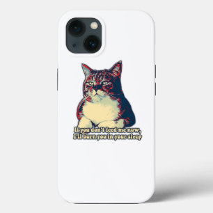 Funny grumpy cat meme for kitty owners and lovers iPhone 13 case