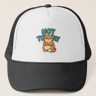 Funny Grumpy Cat Not Today T-Shirt Trucker Hat