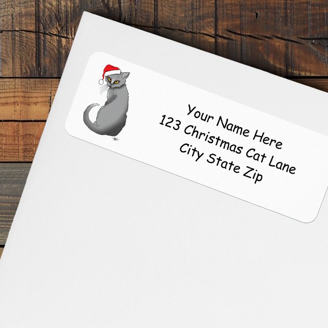 Funny Grumpy Christmas Grey Cat Holiday Humour (Creator Uploaded)