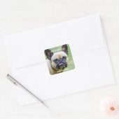 Funny Grumpy French Bulldog I Know Your Tricks Square Sticker (Envelope)