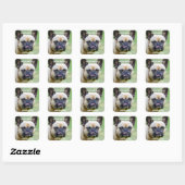 Funny Grumpy French Bulldog I Know Your Tricks Square Sticker (Sheet)