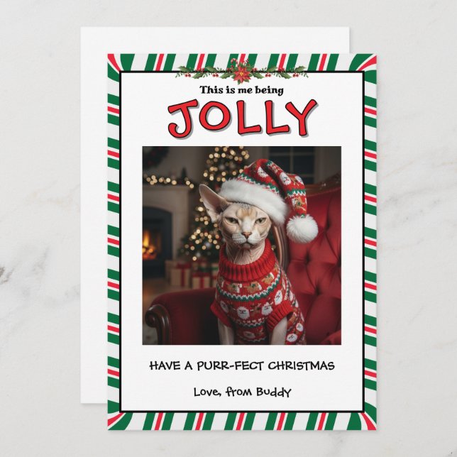 Funny Grumpy Sphynx Cat in Sweater Custom Holiday Card (Front/Back)