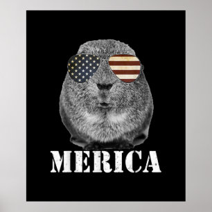 Funny Guinea Pig Merica Patriotic Usa Flag Glasses Poster