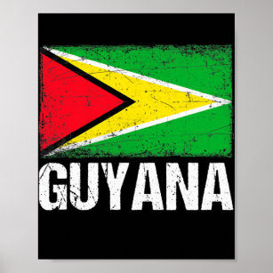 Funny Guyana Flag Men Women Kid Patriotic  Poster