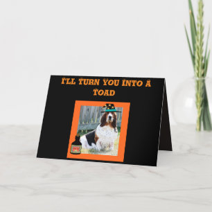 Funny Halloween Card w/Cute Basset Witch and Frog