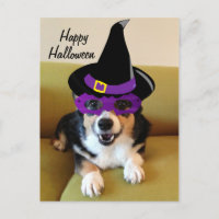 Funny Halloween Corgi in Costume