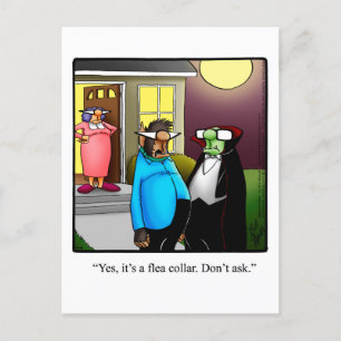 Funny Halloween Pumpkin Humour Postcard