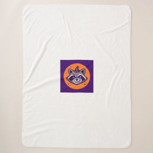 Funny Halloween Racoon Witch Blanket