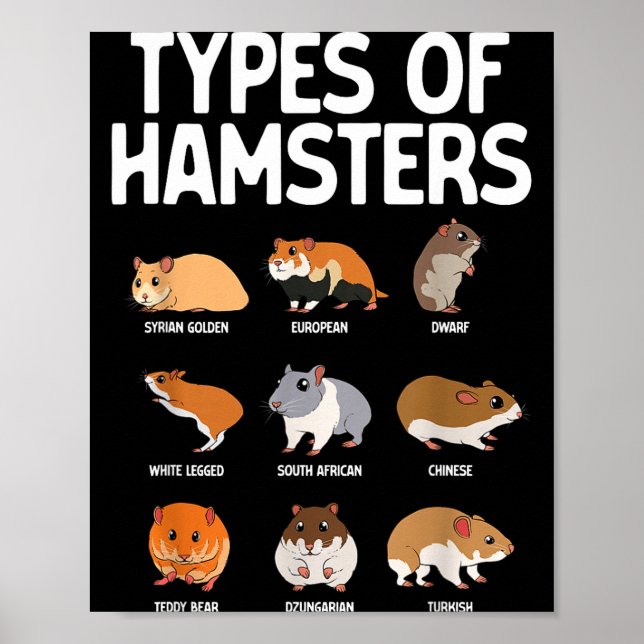 Funny Hamster Art For Men Women Boys Girls Hamster Poster (Front)